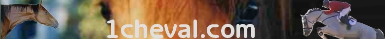 Bienvenue � la communaut� du cheval!