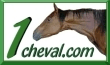 Entrez dans le monde du cheval