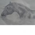 · 400 x 400 pixels
· 25 ko
· Catégorie : Portraits
· Ajouté le 26/07/2006
· Description :
dessin mine de plomb