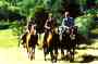 Ferme �questre des Clauzels