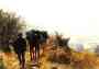 Ferme �questre de la Sabatari�