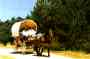Ferme �questre de Sarraill�