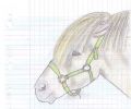 · 639 x 528 pixels
· 65 ko
· Catégorie : Autre dessins
· Ajouté le 01/07/2006