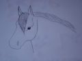 · 640 x 480 pixels
· 124 ko
· Catégorie : Autre dessins
· Ajouté le 31/08/2006
· Description :
cheval