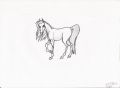· 2338 x 1700 pixels
· 169 ko
· Catégorie : Autre dessins
· Ajouté le 01/09/2006
· Description :
cheval