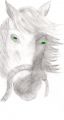 · 746 x 1413 pixels
· 110 ko
· Catégorie : Autre dessins
· Ajouté le 11/04/2007