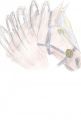 · 900 x 1337 pixels
· 92 ko
· Catégorie : Autre dessins
· Ajouté le 11/04/2007