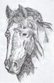 · 500 x 768 pixels
· 150 ko
· Catégorie : Autre dessins
· Ajouté le 14/04/2007
· Description :
titi au feutre