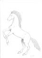 · 1275 x 1747 pixels
· 90 ko
· Catégorie : Autre dessins
· Ajouté le 12/05/2007
· Description :
