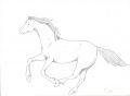 · 1755 x 1275 pixels
· 61 ko
· Catégorie : Autre dessins
· Ajouté le 12/05/2007
· Description :