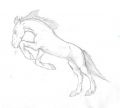 · 633 x 568 pixels
· 17 ko
· Catégorie : Autre dessins
· Ajouté le 12/05/2007
· Description :