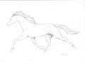 · 1755 x 1275 pixels
· 60 ko
· Catégorie : Autre dessins
· Ajouté le 12/05/2007
· Description :
