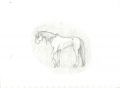 · 1755 x 1275 pixels
· 70 ko
· Catégorie : Autre dessins
· Ajouté le 12/05/2007
· Description :
