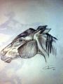 · 1200 x 1600 pixels
· 323 ko
· Catégorie : Portraits
· Ajouté le 25/11/2005
· Description :
dessin crayon 05