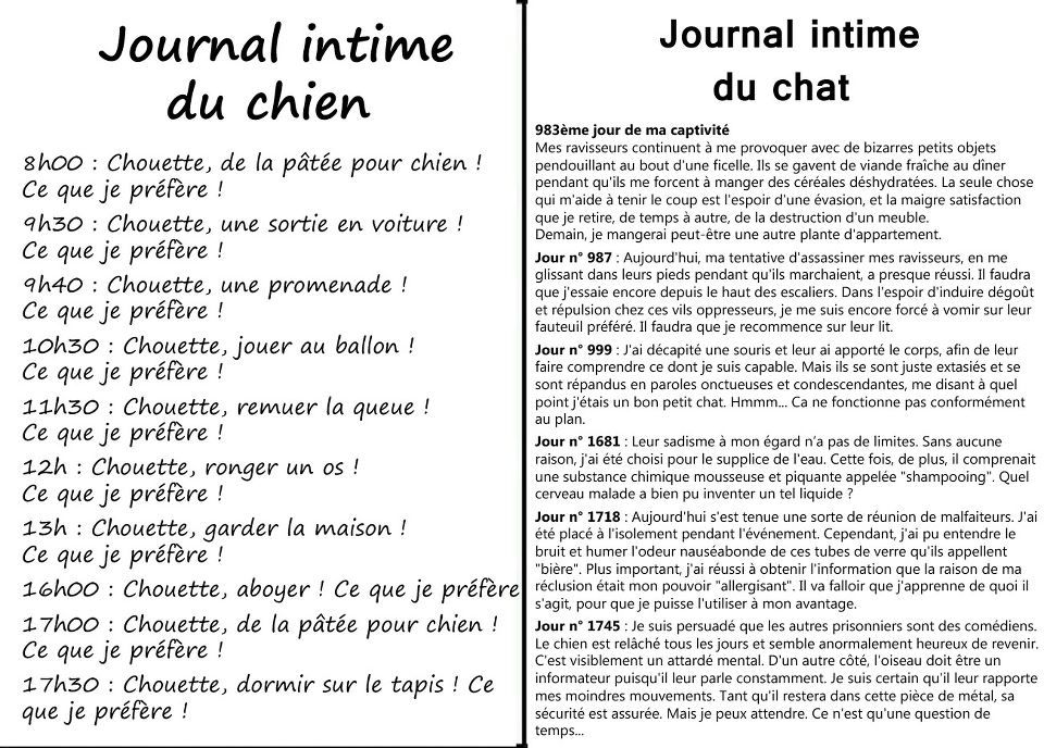 Journal Intime D Un Chien D Un Chat 1 Forum Cheval