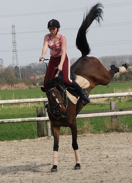 Tenue pour monter a cheval Clearance