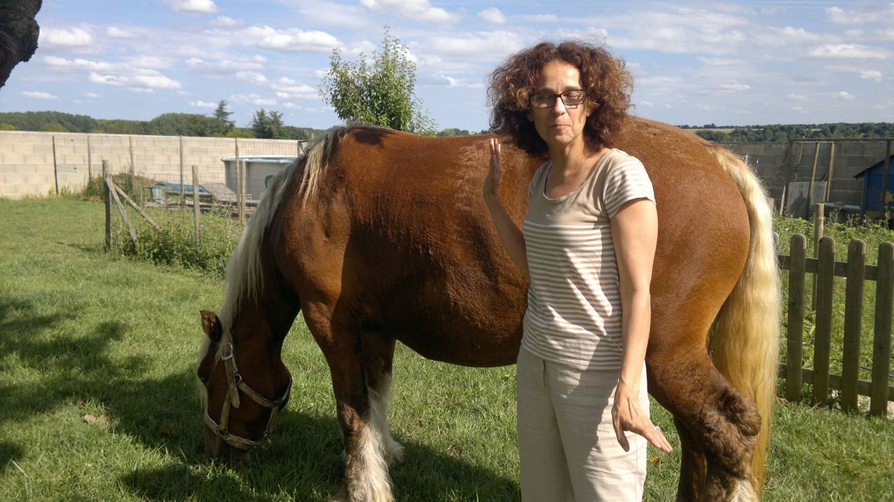 Allergie aux poils de chevaux 1 Forum Cheval