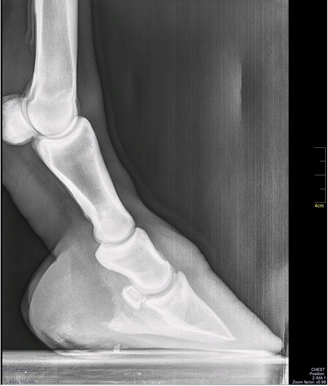 Boiterie Et Radios Pieds Nus 1 Forum Cheval