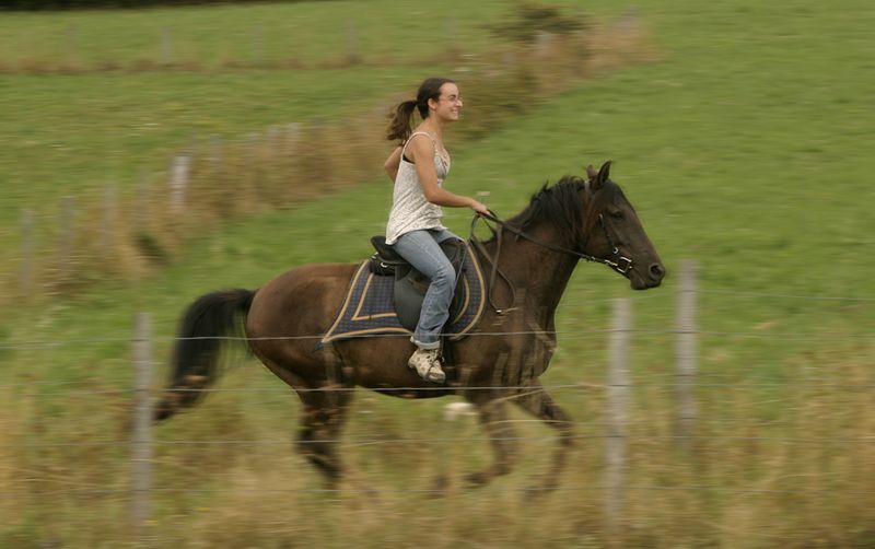 Tenue pour monter a cheval Clearance