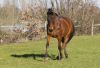 · 3938 x 2657 pixels
· 3 ko
· Catégorie :
· Ajouté le 17/02/2013
