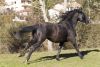 · 4896 x 3264 pixels
· 3 ko
· Catégorie :
· Ajouté le 17/02/2013