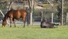 · 2949 x 1687 pixels
· 3 ko
· Catégorie :
· Ajouté le 17/02/2013