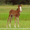 · 2140 x 2161 pixels
· 3 ko
· Catégorie :
· Ajouté le 13/05/2014