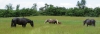 · 3476 x 1169 pixels
· 3 ko
· Catégorie :
· Ajouté le 13/05/2014