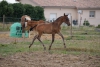 · 1100 x 732 pixels
· 3 ko
· Catégorie :
· Ajouté le 25/07/2014