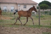 · 1100 x 732 pixels
· 3 ko
· Catégorie :
· Ajouté le 25/07/2014