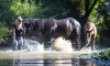 · 3735 x 2215 pixels
· 3 ko
· Catégorie :
· Ajouté le 03/09/2014
