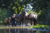 · 5184 x 3456 pixels
· 3 ko
· Catégorie :
· Ajouté le 03/09/2014
