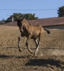 · 1824 x 2049 pixels
· 3 ko
· Catégorie :
· Ajouté le 03/09/2014