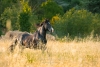 · 1224 x 816 pixels
· 3 ko
· Catégorie :
· Ajouté le 26/08/2015