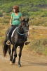 · 640 x 960 pixels
· 3 ko
· Catégorie :
· Ajouté le 05/10/2015
