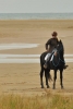 · 640 x 960 pixels
· 3 ko
· Catégorie :
· Ajouté le 05/10/2015