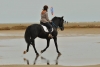 · 900 x 600 pixels
· 3 ko
· Catégorie :
· Ajouté le 05/10/2015