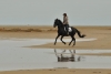 · 900 x 600 pixels
· 3 ko
· Catégorie :
· Ajouté le 05/10/2015