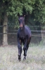 · 1335 x 2117 pixels
· 3 ko
· Catégorie :
· Ajouté le 15/10/2015