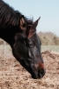 · 1714 x 2576 pixels
· 3 ko
· Catégorie :
· Ajouté le 05/12/2015