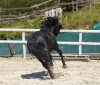 · 3149 x 2661 pixels
· 3 ko
· Catégorie :
· Ajouté le 04/06/2019