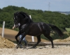 · 2149 x 1684 pixels
· 3 ko
· Catégorie :
· Ajouté le 04/06/2019