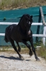 · 1566 x 2435 pixels
· 3 ko
· Catégorie :
· Ajouté le 04/06/2019