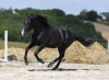 · 4281 x 3107 pixels
· 3 ko
· Catégorie :
· Ajouté le 04/06/2019