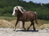 · 3812 x 2790 pixels
· 3 ko
· Catégorie :
· Ajouté le 04/06/2019