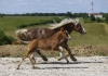 · 3984 x 2756 pixels
· 3 ko
· Catégorie :
· Ajouté le 04/06/2019