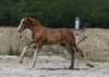 · 4612 x 3253 pixels
· 3 ko
· Catégorie :
· Ajouté le 04/06/2019