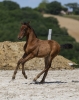 · 2395 x 3067 pixels
· 3 ko
· Catégorie :
· Ajouté le 04/06/2019