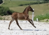 · 4024 x 2853 pixels
· 3 ko
· Catégorie :
· Ajouté le 04/06/2019