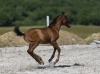· 4458 x 3262 pixels
· 3 ko
· Catégorie :
· Ajouté le 04/06/2019